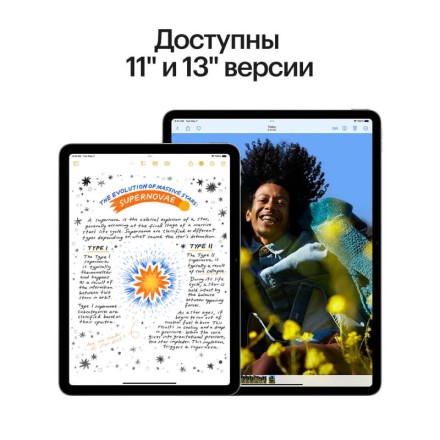Планшет Apple iPad Air 13" 256Gb (2024) Wi-Fi + Cellular серый космос