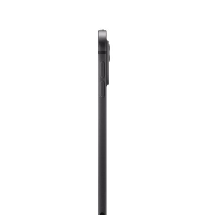 Планшет Apple iPad Pro 13" 2Tb (2024) Wi-Fi + Cellular «черный космос»