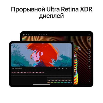 Планшет Apple iPad Pro 13" 2Tb (2024) Wi-Fi + Cellular «черный космос»